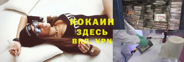 ГАЛЛЮЦИНОГЕННЫЕ ГРИБЫ Валдай