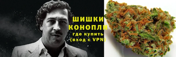мет Пересвет