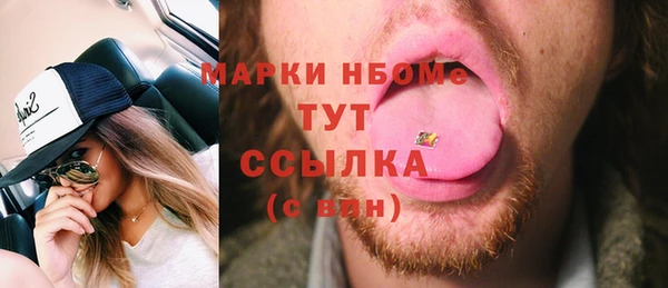 молекула духа Пестово