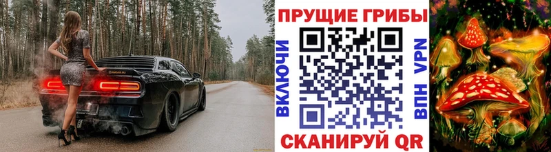 Купить где  Изобильный  Псилоцибиновые грибы мухоморы 